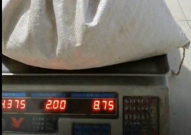 云飛殺蟲燈一天殺蟲量將近9斤，客戶都驚呆了