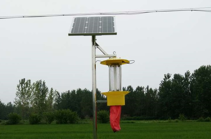 信陽水稻種植基地利用云飛殺蟲燈發展綠色農業