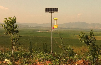 云飛草原殺蟲燈