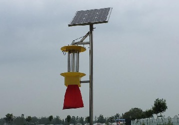 云飛太陽(yáng)能殺蟲(chóng)燈保護(hù)銀杏樹(shù)健康