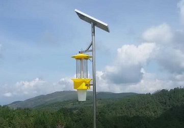 云飛檸檬殺蟲燈走進四川省安岳縣檸檬之鄉