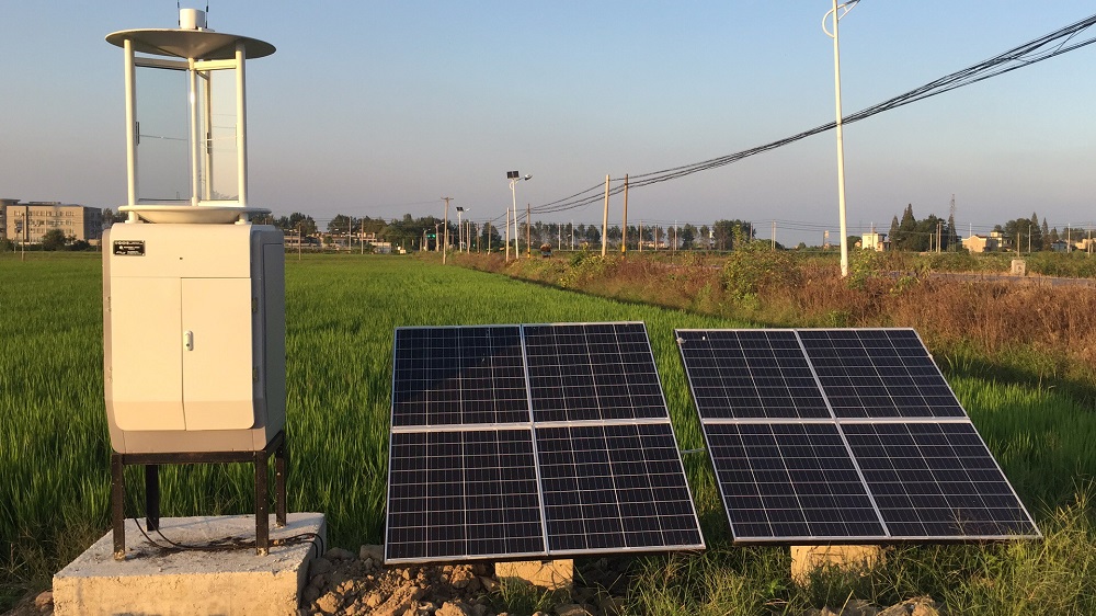 物聯網蟲情測報燈