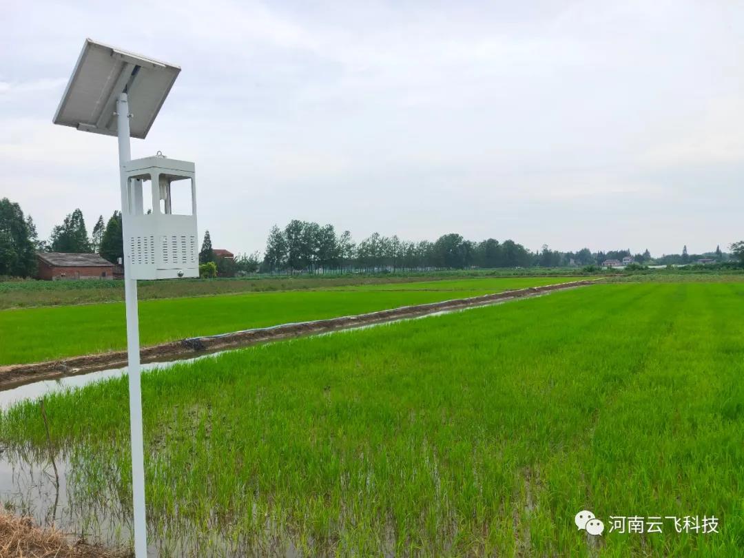 云飛太陽能風吸式殺蟲燈