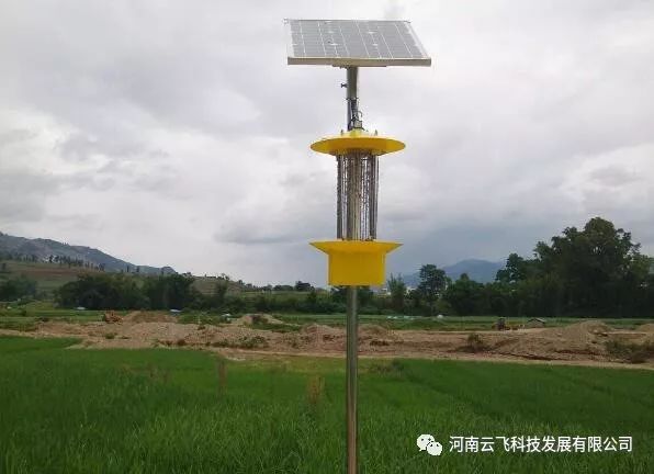 云飛頻振式太陽能殺蟲燈